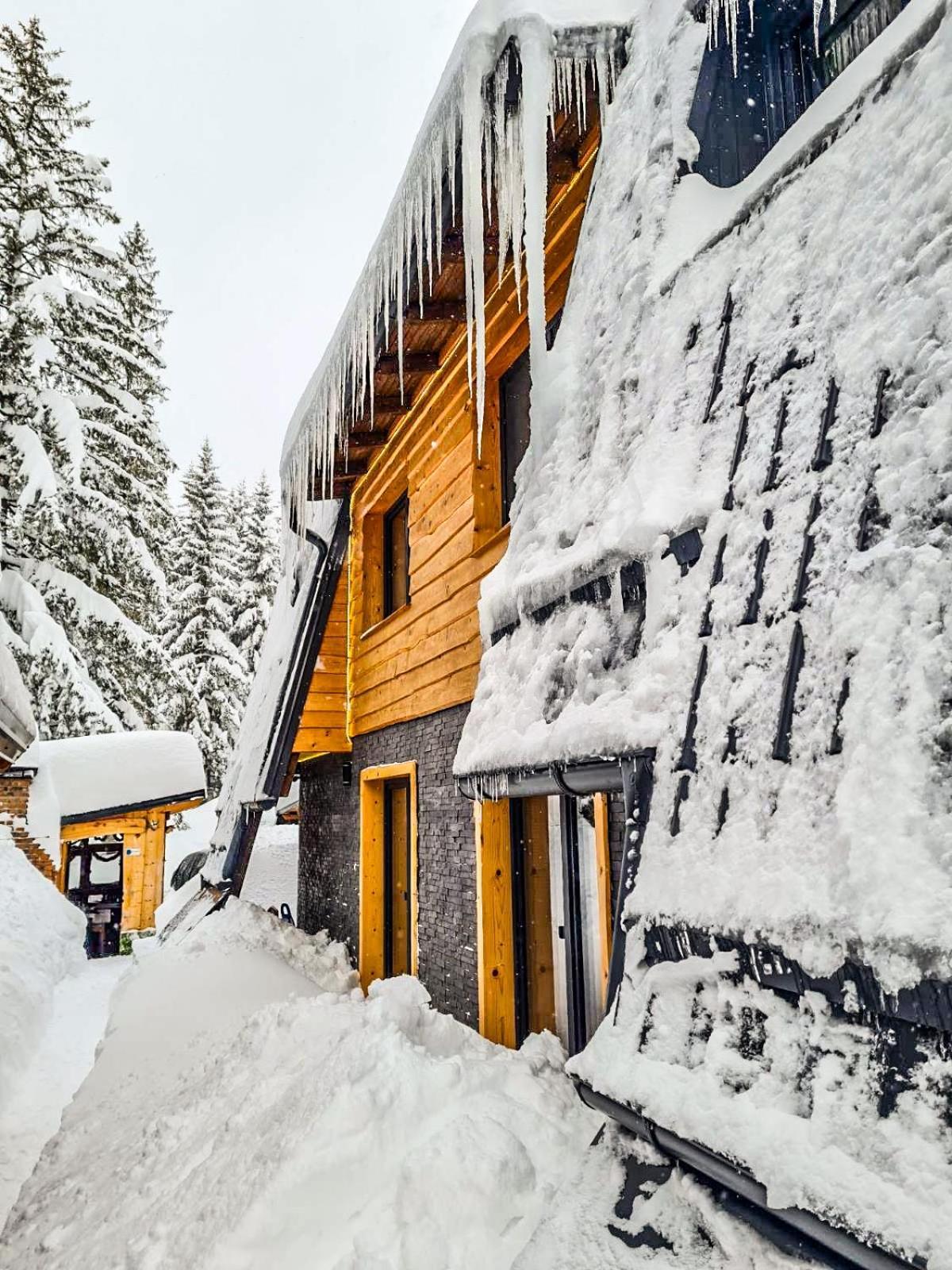 Basic Jelen Appartement